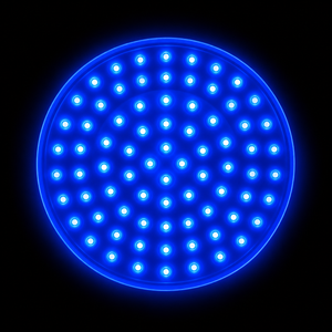 Blue Light 415nm